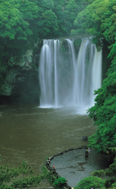 Besuchen Sie mit uns romantische Wasserfälle, eingebettet in sattes Grün, und lassen Sie das herrliche Landschaftsbild auf sich wirken!